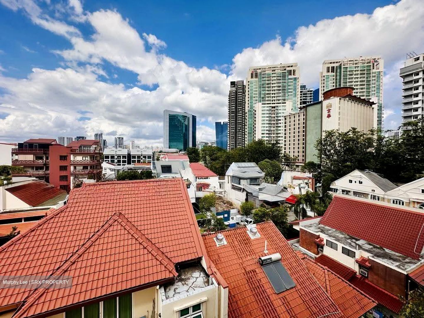 10 Evelyn (D11), Apartment #605752941